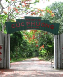 Du Lịch Rừng Cúc Phương - Hoa Lư - Tam Cốc 2 Ngày 1 Đêm