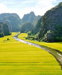 1457671759-tam-coc-bich-dong-vinh-ha-long-tren-can22