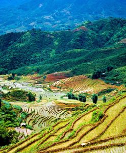Tour Sapa 3 Ngày 2 Đêm Ngủ Khách Sạn Cát Cát - Hàm Rồng - Fansipan - Hà Khẩu Trung Quốc