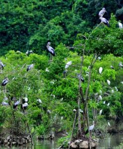 TOUR DU LỊCH NINH BÌNH