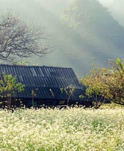 kinh-nghiem-phuot-moc-chau