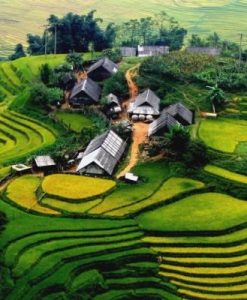 Tour Du Lịch Sapa 3 Ngày 2 Đêm Hàm Rồng - Tả Van - Cát Cát