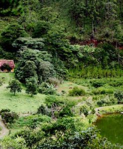 Du Lịch Đà Lạt Lãng Mạn 4 Ngày 3 Đêm