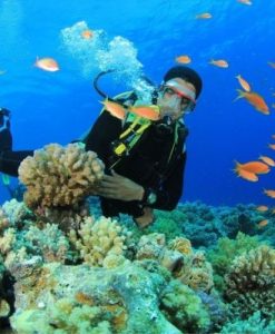 Tour Du Lịch Cù Lao Chàm 1 Ngày Opt 02