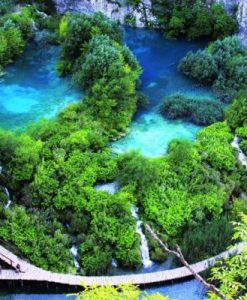 Tour Vườn Quốc Gia Bạch Mã 1 Ngày