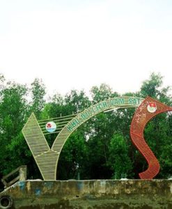 Tour Du Lịch Đảo Khỉ Cần Giờ 1 Ngày | Khám Phá Rừng Ngập Mặn – Rừng Sác Anh Hùng