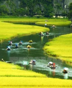Tour Ninh Bình 1 Ngày: Hoa Lư – Tam Cốc – Hang Múa