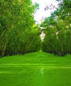 Tour Miền Tây 2 Ngày 1 Đêm