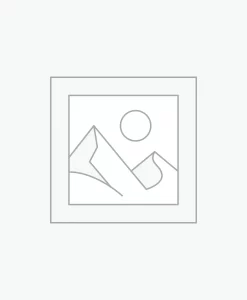 Nơi nhập dữ liệu